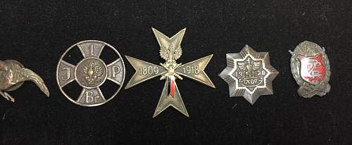 Polish Regimental Badges WW2