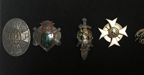 Polish Regimental Badges WW2