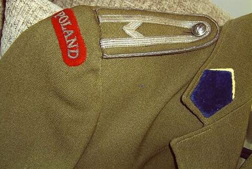 Polish 1st Amoured SD tunic