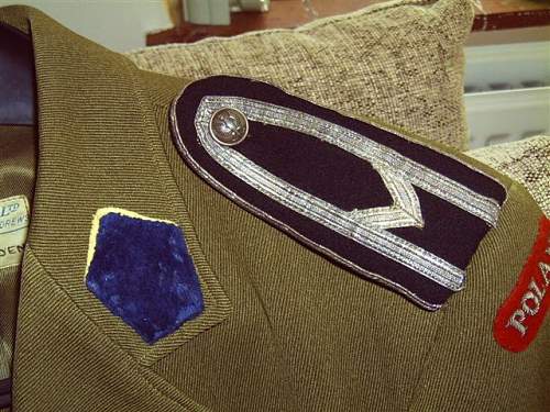 Polish 1st Amoured SD tunic