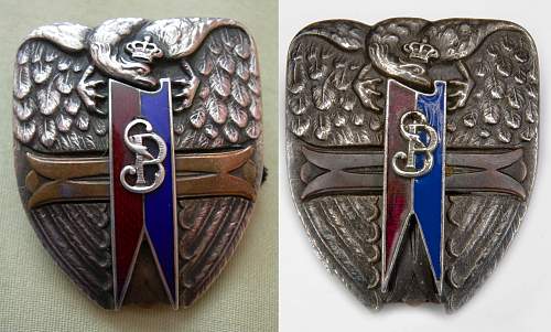 Polish Regimental Badges WW2