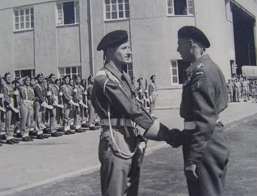 Polish Regimental Badges WW2