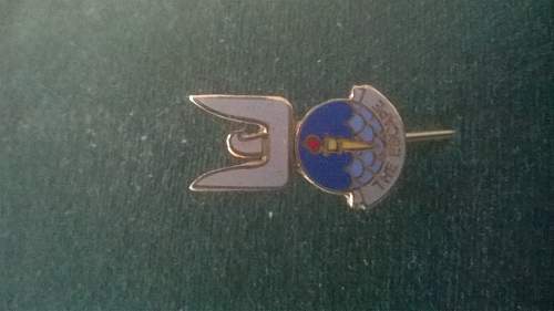 Arnhem escapers tie pin numbered