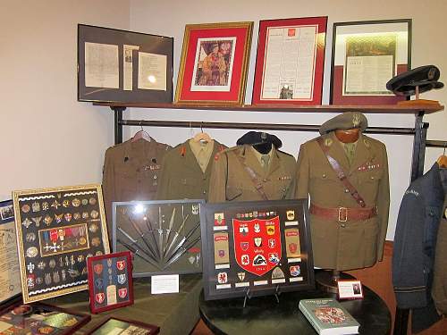 Lets see your Polish Militaria Display!