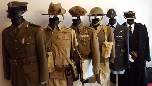 Lets see your Polish Militaria Display!