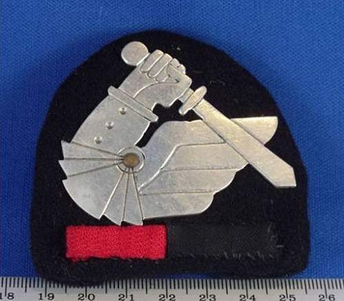 Uniform Unit Insignia of the Polish Army in Exile - 1939-45/7