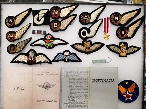 Looking for Polish Air Force memorabilia