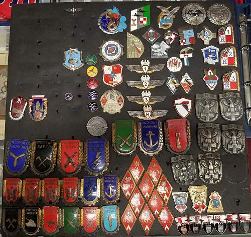 Looking for Polish Air Force memorabilia