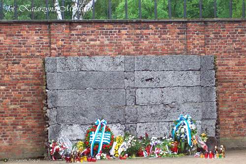 Dr Adam Greplowski murdered in Auschwitz, shot in front of Wall of Death.