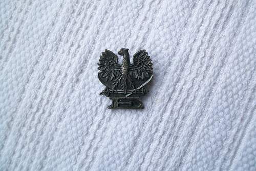 Canadian made Polish badge with E on it