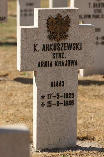 Grave Armia Krajowa on cemetery Breda (Netherlands)
