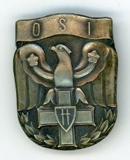 Help with identification- a unit badge? ???