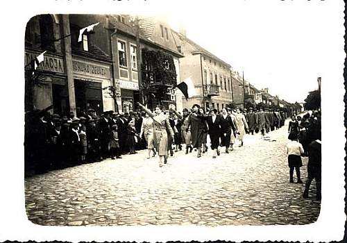 National Party (Stronnictwo Narodowe, SN) uniforms?