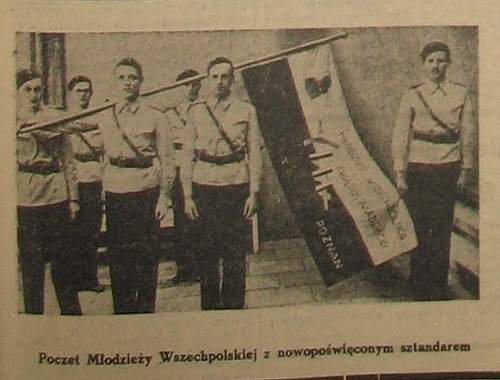 National Party (Stronnictwo Narodowe, SN) uniforms?