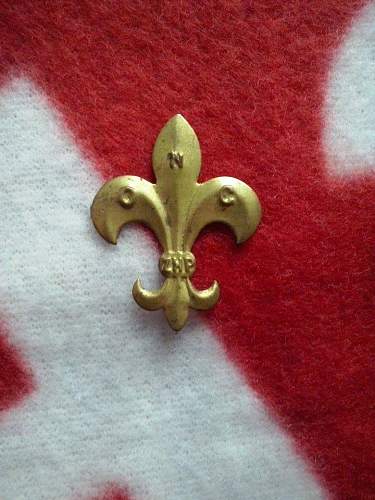 Polish scouting buckle