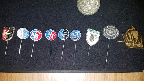 Questions on Grandfathers Medals / Pins / etc