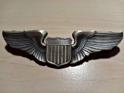 USAF pilot wings