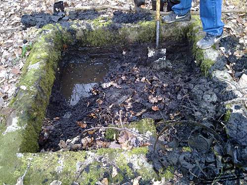 Wwi treasue chest in the woods!