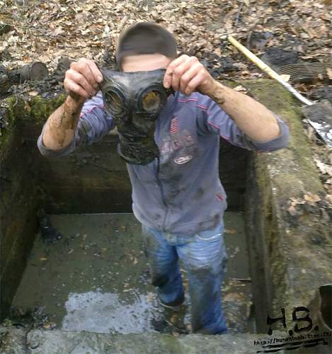 Wwi treasue chest in the woods!