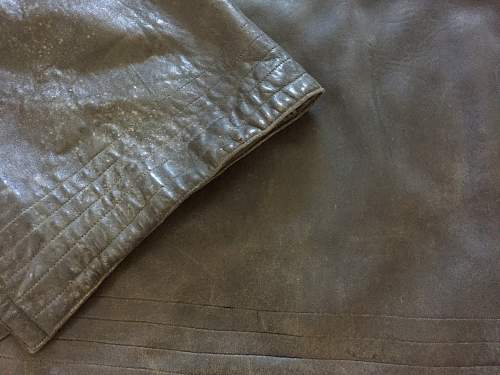 Mould on Leather