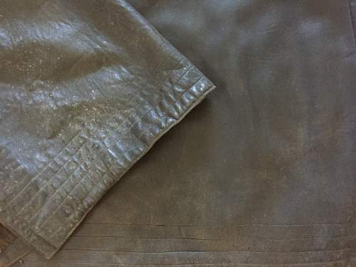 Mould on Leather