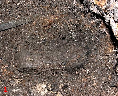 US Boot from the Evesham forum dig.