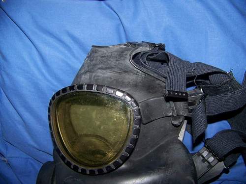 Cleaning M17 gas mask