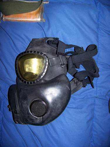 Cleaning M17 gas mask