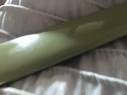 SA Dagger with a green scabbard