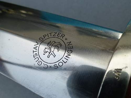 Superb Early Tigerstriped SA Dienstdolch by Spitzer