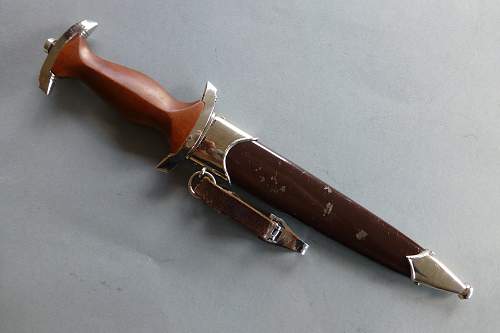 Transitional Holler SA dagger