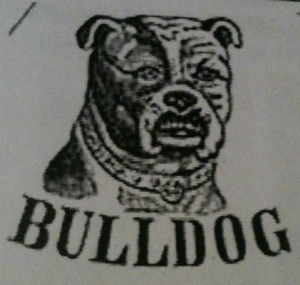 bulldog