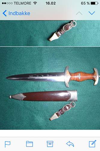 Wilhelm Hoppe SA Dagger