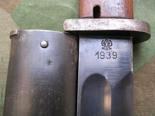 Polish K98 Bayonet for discussion