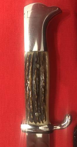 Long Etched Dress Bayonet w/Stag Handle No Maker