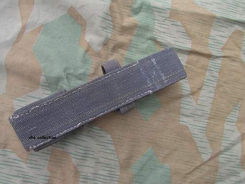 Blue-gray webbing