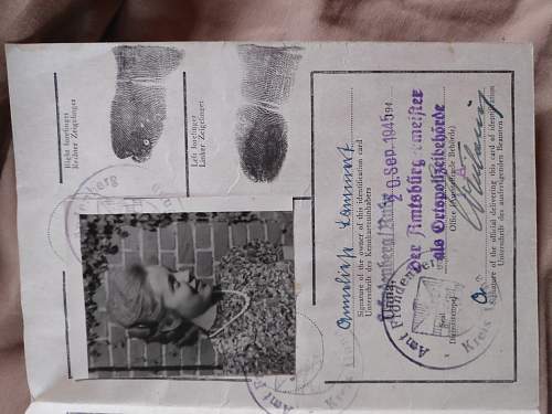 September 1945 ID card - noticeably missing the nazi eagle etc