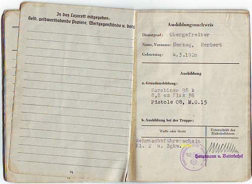 L/W 10 Flak division group