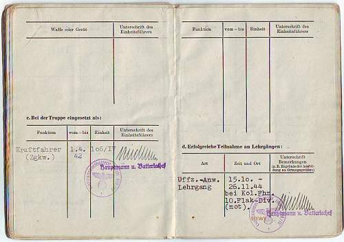 L/W 10 Flak division group