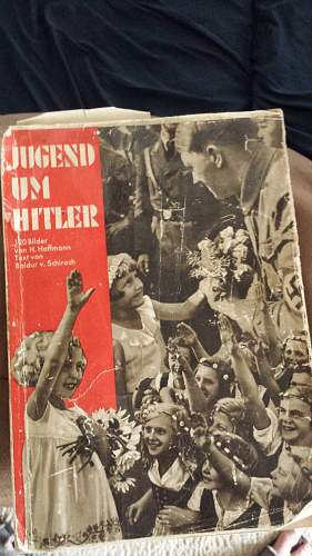 Nazi propaganda book
