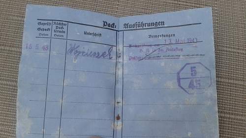 WW2 Fallschirm-Pruffchein Log Book ?