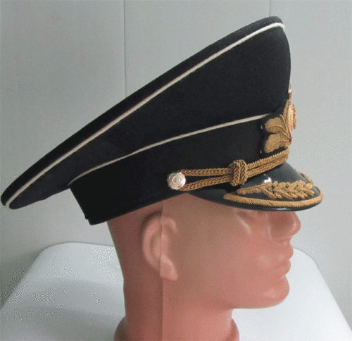 Opinions on Navy Admiral Winter Parade Visor