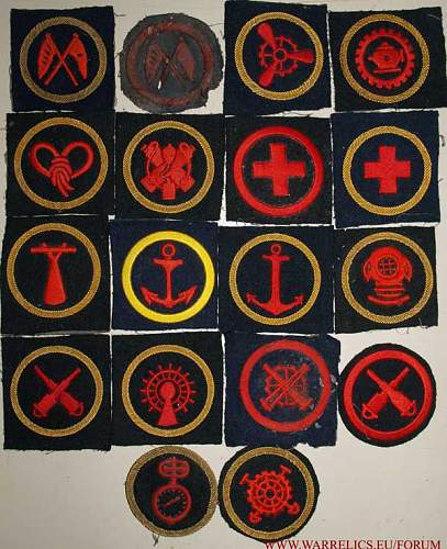 Some of my sleeve branch insignia- &quot;staty&quot;