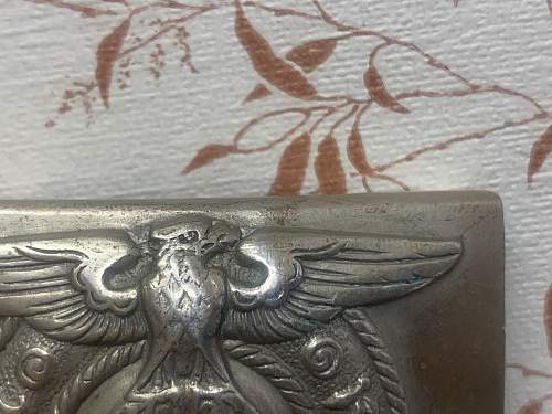 Cracked  Wing SS Buckle