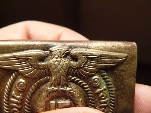SS buckle Cracked Wing  ???