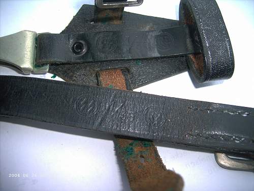 SS Belt