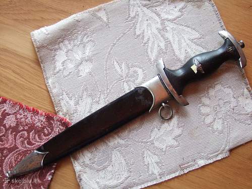 C.Bertram Reinhard &amp; Sohn SS Dagger - FAKE or REAL?