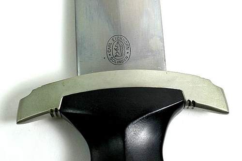 SS Himmler dagger for opinion