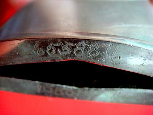 SS dagger – figures on a sheath?