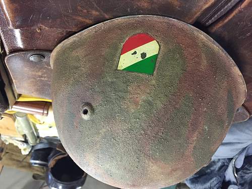 Who can tell me about this helmet - Italian SS